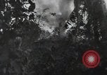 Standbild blutige Nase Ridge Peleliu Palau Inseln, 1944, aus Sekunde 27 historischem Filmmaterial Videoclip 65675022968