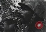 Standbild blutige Nase Ridge Peleliu Palau Inseln, 1944, aus Sekunde 43 historischem Filmmaterial Videoclip 65675022968