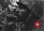 Standbild blutige Nase Ridge Peleliu Palau Inseln, 1944, aus Sekunde 44 historischem Filmmaterial Videoclip 65675022968