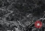 Standbild blutige Nase Ridge Peleliu Palau Inseln, 1944, aus Sekunde 47 historischem Filmmaterial Videoclip 65675022968