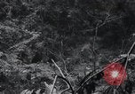 Standbild blutige Nase Ridge Peleliu Palau Inseln, 1944, aus Sekunde 48 historischem Filmmaterial Videoclip 65675022968