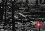 Standbild blutige Nase Ridge Peleliu Palau Inseln, 1944, aus Sekunde 50 historischem Filmmaterial Videoclip 65675022968