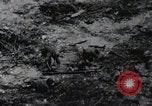 Standbild blutige Nase Ridge Peleliu Palau Inseln, 1944, aus Sekunde 62 historischem Filmmaterial Videoclip 65675022968