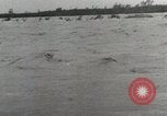 Image of 36th Infantry Troops Italy, 1943, second 33 stock footage video 65675022970