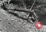 Image of 36th Infantry Troops Italy, 1943, second 36 stock footage video 65675022972