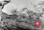 Image of 36th Infantry Troops Italy, 1943, second 42 stock footage video 65675022972