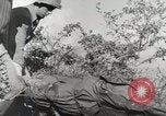 Image of 36th Infantry Troops Italy, 1943, second 43 stock footage video 65675022972