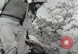 Image of 36th Infantry Troops Italy, 1943, second 44 stock footage video 65675022972
