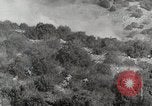 Image of American 36th Infantry Division Troops Italy, 1943, second 31 stock footage video 65675022973
