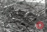 Image of American 36th Infantry Division Troops Italy, 1943, second 38 stock footage video 65675022973