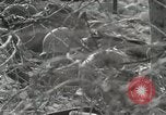 Image of American 36th Infantry Division Troops Italy, 1943, second 40 stock footage video 65675022973