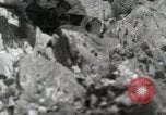 Image of 142nd Infantry Regiment Italy, 1943, second 4 stock footage video 65675022974
