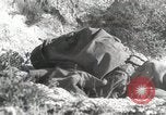 Image of 142nd Infantry Regiment Italy, 1943, second 21 stock footage video 65675022974