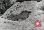 Image of 142nd Infantry Regiment Italy, 1943, second 22 stock footage video 65675022974