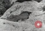 Image of 142nd Infantry Regiment Italy, 1943, second 24 stock footage video 65675022974