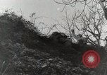 Image of 142nd Infantry Regiment Italy, 1943, second 39 stock footage video 65675022974