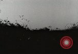 Image of 142nd Infantry Regiment Italy, 1943, second 42 stock footage video 65675022974