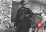 Image of 143nd Infantry Regiment Italy, 1943, second 42 stock footage video 65675022975