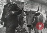 Image of 143nd Infantry Regiment Italy, 1943, second 43 stock footage video 65675022975