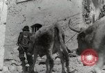 Image of 143nd Infantry Regiment Italy, 1943, second 44 stock footage video 65675022975