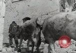 Image of 143nd Infantry Regiment Italy, 1943, second 46 stock footage video 65675022975