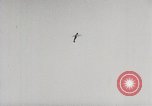 Image of P-47 Thunderbolt United States USA, 1943, second 20 stock footage video 65675023002