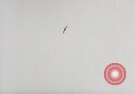 Image of P-47 Thunderbolt United States USA, 1943, second 61 stock footage video 65675023002