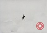 Image of P-47 Thunderbolt United States USA, 1943, second 17 stock footage video 65675023003
