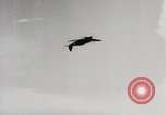 Image of P-47 Thunderbolt United States USA, 1943, second 35 stock footage video 65675023003
