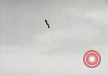 Image of P-47 Thunderbolt United States USA, 1943, second 20 stock footage video 65675023004