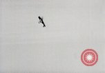 Image of P-47 Thunderbolt United States USA, 1943, second 46 stock footage video 65675023004