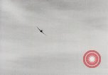 Image of P-47 Thunderbolt United States USA, 1943, second 58 stock footage video 65675023005