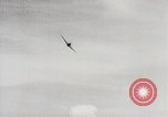 Image of P-47 Thunderbolt United States USA, 1943, second 59 stock footage video 65675023005