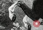 Image of Washington attacks at Trenton United States USA, 1969, second 25 stock footage video 65675023012