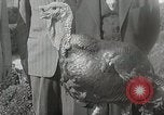 Image of President Dwight D Eisenhower Washington DC USA, 1953, second 8 stock footage video 65675023022