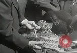 Image of President Dwight D Eisenhower Washington DC USA, 1953, second 22 stock footage video 65675023022