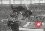 Image of President Dwight D Eisenhower Washington DC USA, 1953, second 27 stock footage video 65675023022
