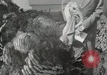 Image of President Dwight D Eisenhower Washington DC USA, 1953, second 29 stock footage video 65675023022