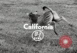 Standbild Zonkey California United States USA, 1953, aus Sekunde 4 historischem Filmmaterial Videoclip 65675023023