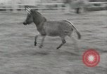 Standbild Zonkey California United States USA, 1953, aus Sekunde 9 historischem Filmmaterial Videoclip 65675023023