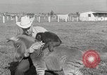 Standbild Zonkey California United States USA, 1953, aus Sekunde 28 historischem Filmmaterial Videoclip 65675023023