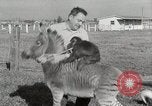 Standbild Zonkey California United States USA, 1953, aus Sekunde 29 historischem Filmmaterial Videoclip 65675023023