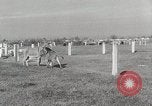 Standbild Zonkey California United States USA, 1953, aus Sekunde 34 historischem Filmmaterial Videoclip 65675023023