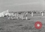 Standbild Zonkey California United States USA, 1953, aus Sekunde 35 historischem Filmmaterial Videoclip 65675023023