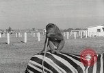 Standbild Zonkey California United States USA, 1953, aus Sekunde 40 historischem Filmmaterial Videoclip 65675023023