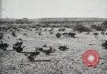 Standbild Bund allgemeine Orozco Tierra Blanca Mexiko, 1913, aus Sekunde 43 historischem Filmmaterial Videoclip 65675023026