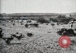Standbild Bund allgemeine Orozco Tierra Blanca Mexiko, 1913, aus Sekunde 46 historischem Filmmaterial Videoclip 65675023026