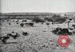 Standbild Bund allgemeine Orozco Tierra Blanca Mexiko, 1913, aus Sekunde 47 historischem Filmmaterial Videoclip 65675023026