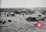 Standbild Bund allgemeine Orozco Tierra Blanca Mexiko, 1913, aus Sekunde 60 historischem Filmmaterial Videoclip 65675023026