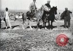 Immagine di Generali Mercado e General Castro Ojinaga Messico, 1913, secondo 58 filmato di repertorio 65675023028